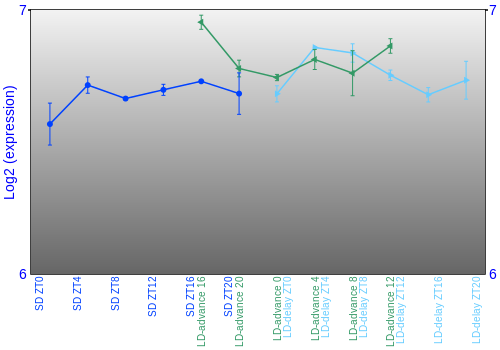 Expression graph