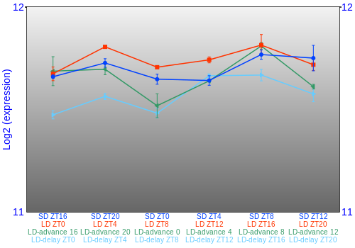 Expression graph