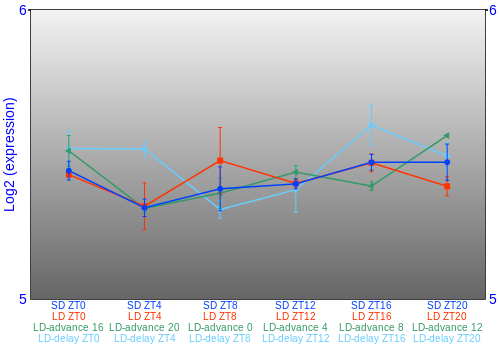 Expression graph