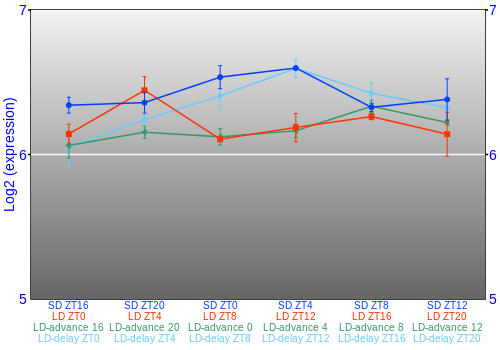 Expression graph