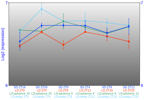 Expression graph
