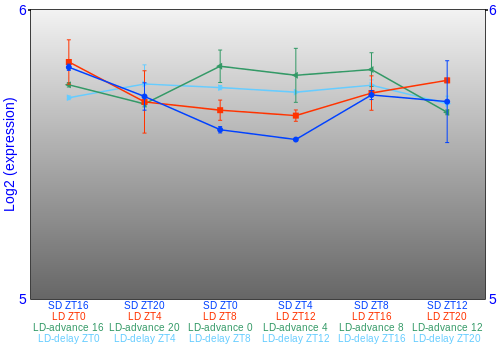 Expression graph