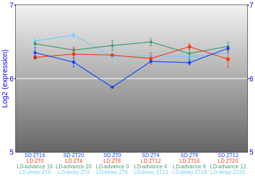 Expression graph
