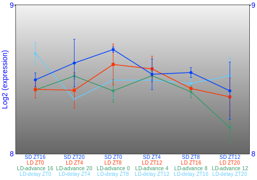 Expression graph