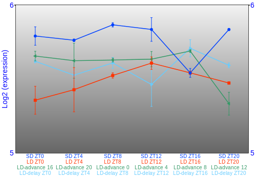 Expression graph