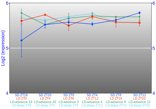 Expression graph