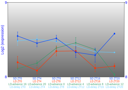 Expression graph