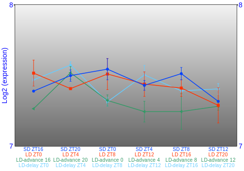 Expression graph