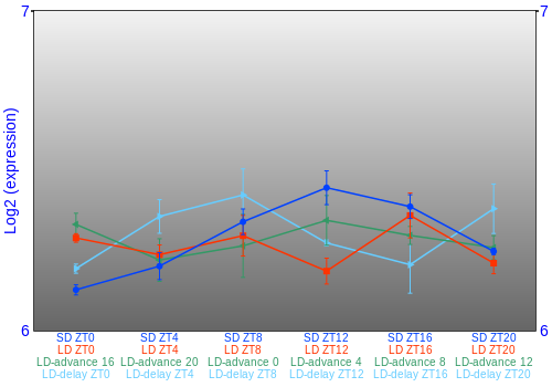 Expression graph