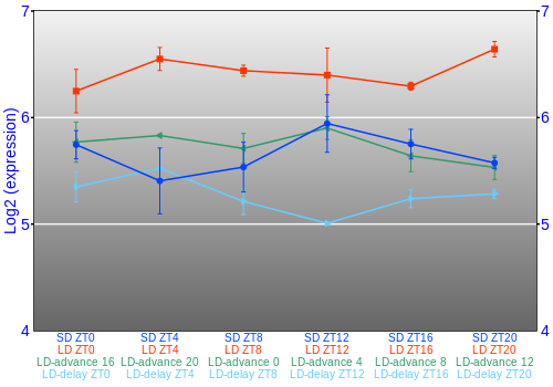 Expression graph