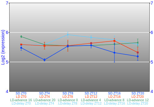 Expression graph