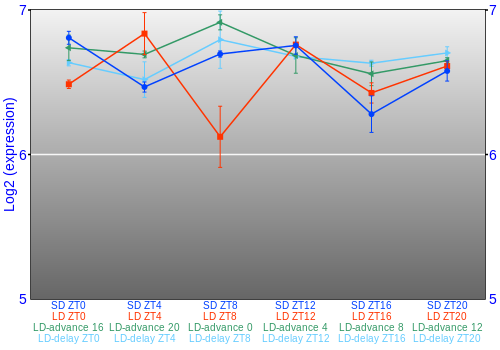 Expression graph