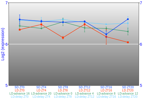 Expression graph