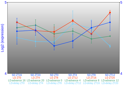 Expression graph