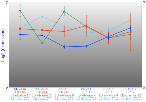 Expression graph