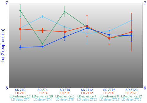 Expression graph