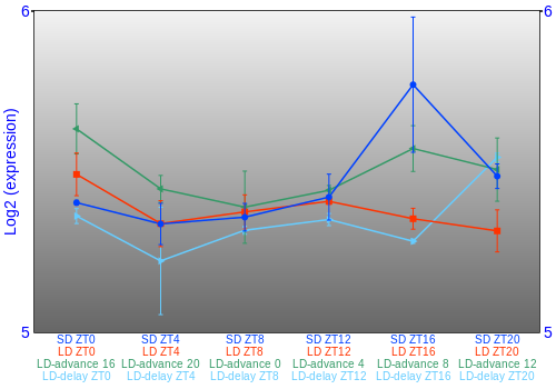 Expression graph