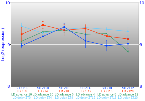 Expression graph