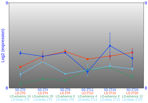 Expression graph