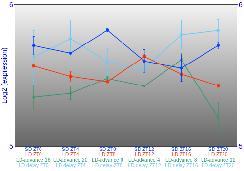 Expression graph