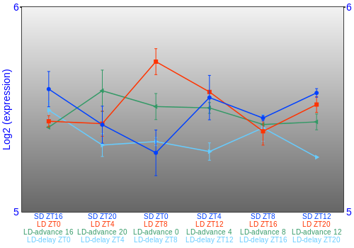 Expression graph