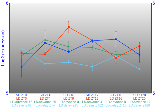 Expression graph