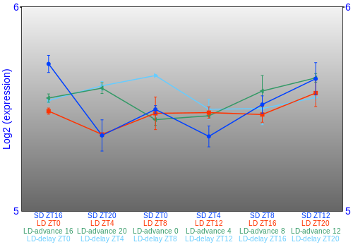 Expression graph
