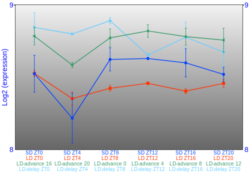 Expression graph