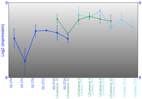 Expression graph