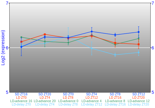 Expression graph