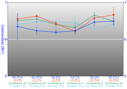 Expression graph