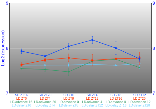 Expression graph