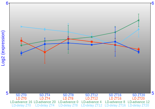 Expression graph