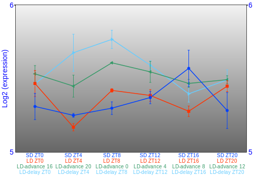 Expression graph