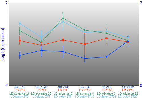Expression graph