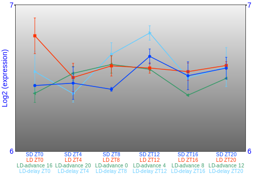 Expression graph