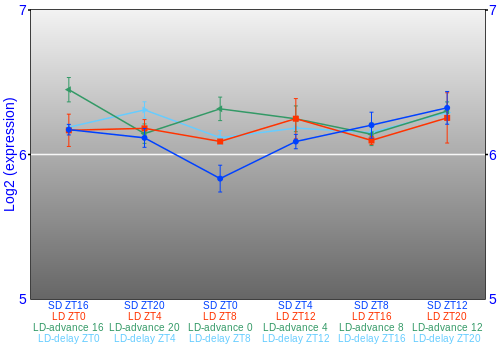 Expression graph