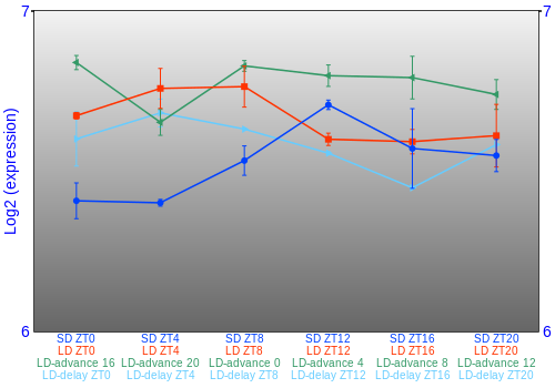 Expression graph