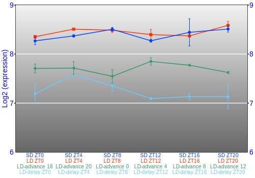 Expression graph