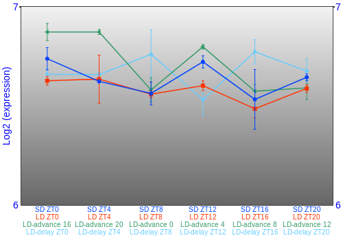 Expression graph