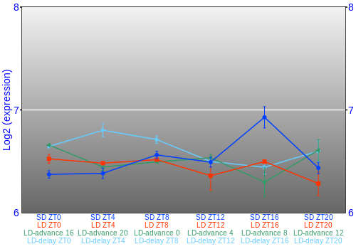Expression graph