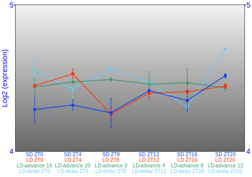 Expression graph
