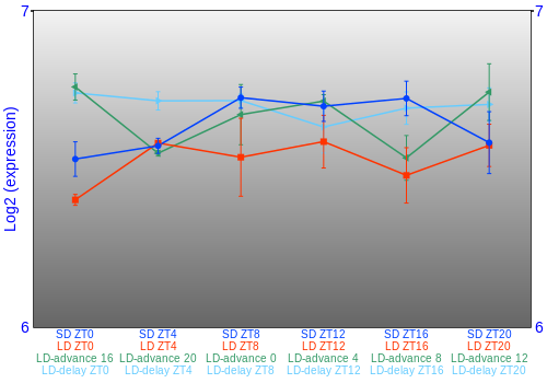 Expression graph