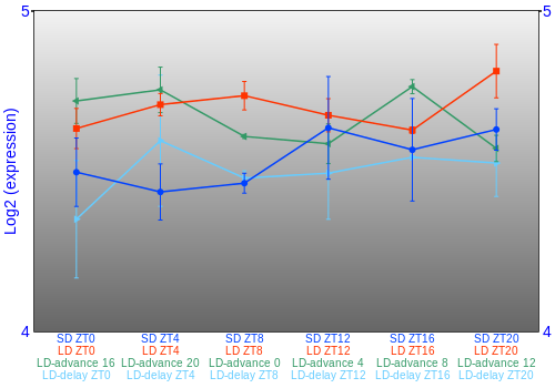 Expression graph