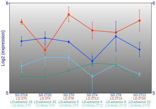 Expression graph