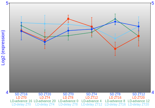 Expression graph