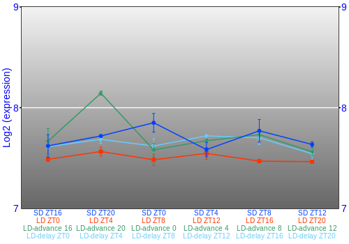 Expression graph