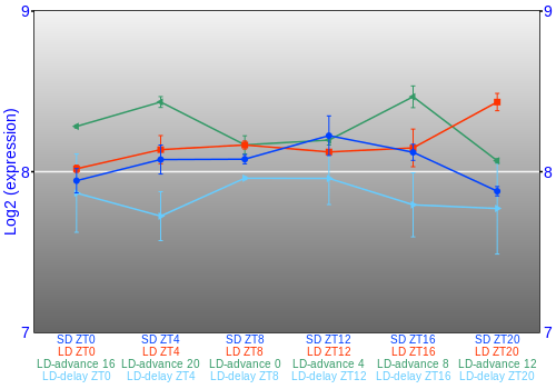 Expression graph