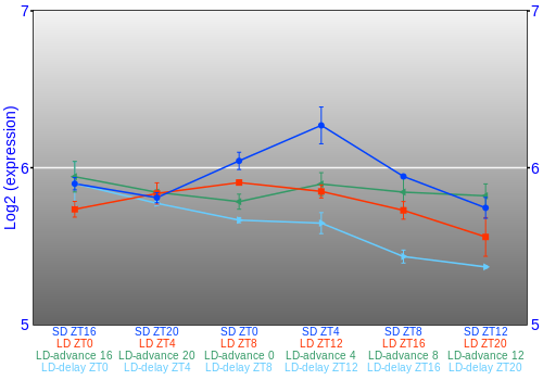 Expression graph