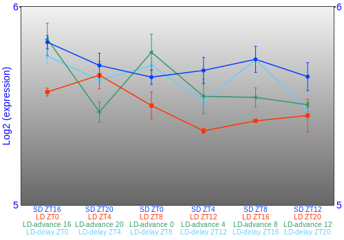 Expression graph